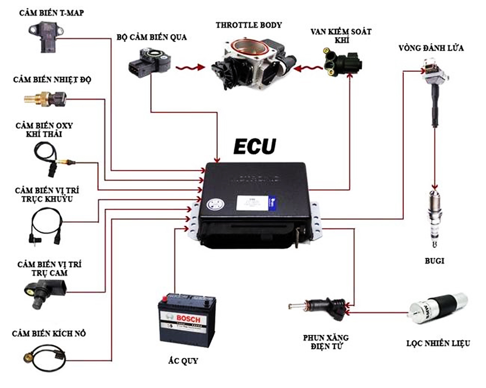 Thi công hệ thống điện trên ô tô bằng ECU. xe hệ thống điều khiển điện tử
